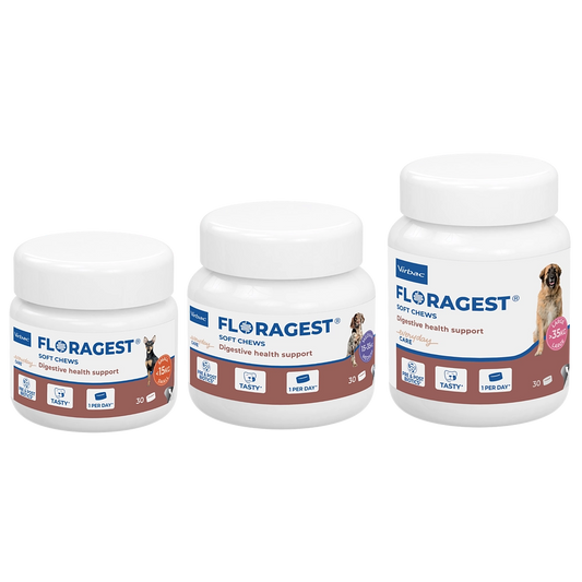 Virbac Floragest für Hunde