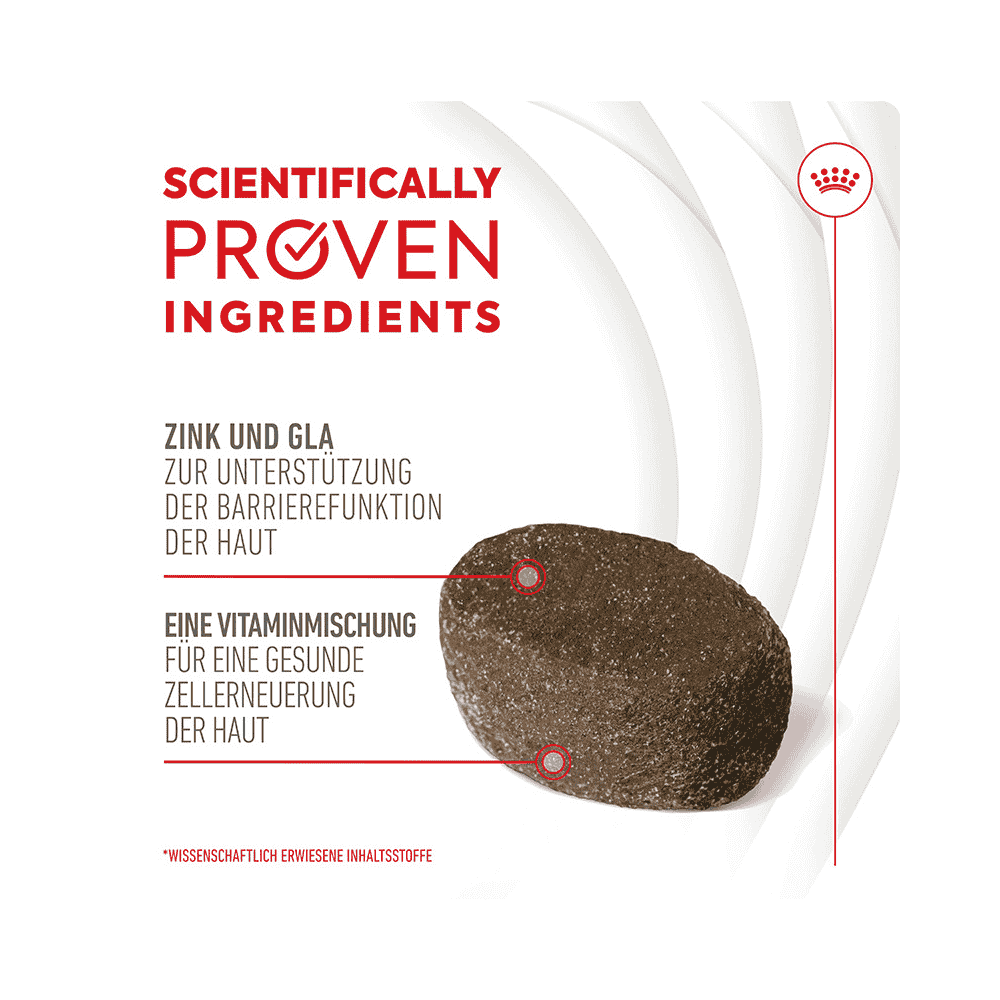 Royal Canin Skin & Coat Chews - Hund