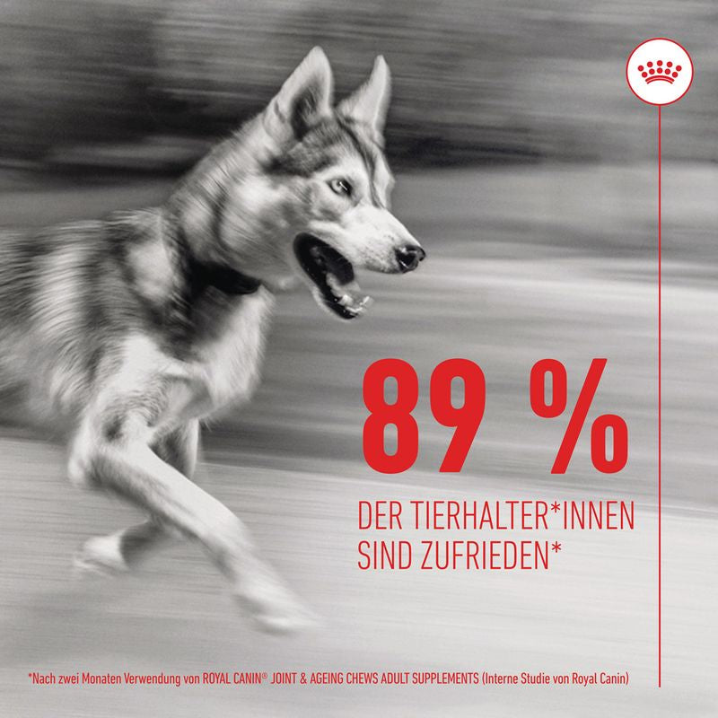 Royal Canin Joint & Ageing Chews Adult - Hund