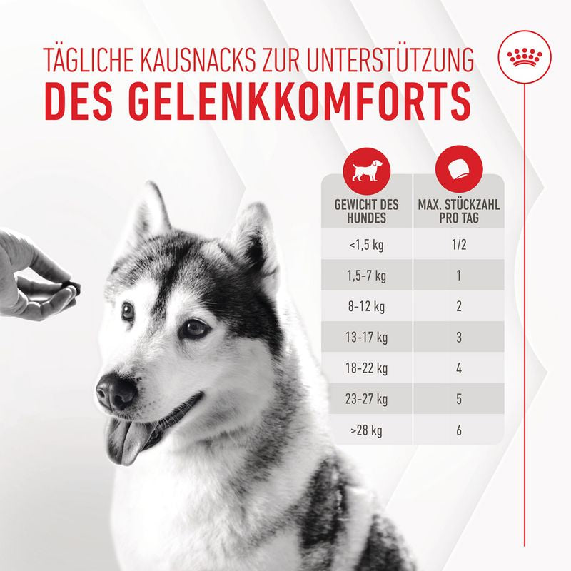 Royal Canin Joint & Ageing Chews Adult - Hund