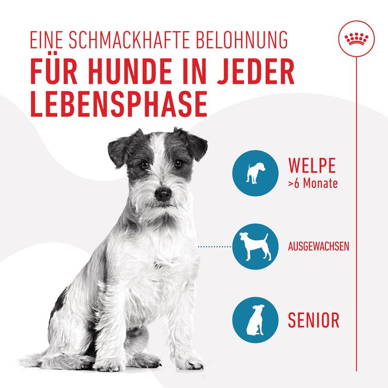 Royal Canin Training Treats - Hund
