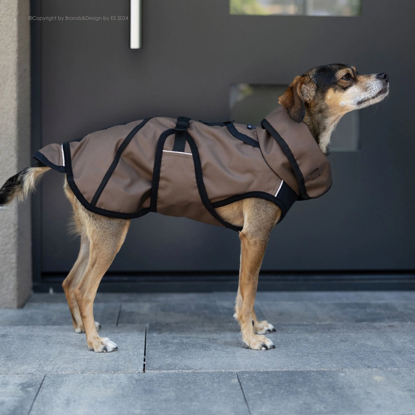 Active Cape Elastic Light MINI