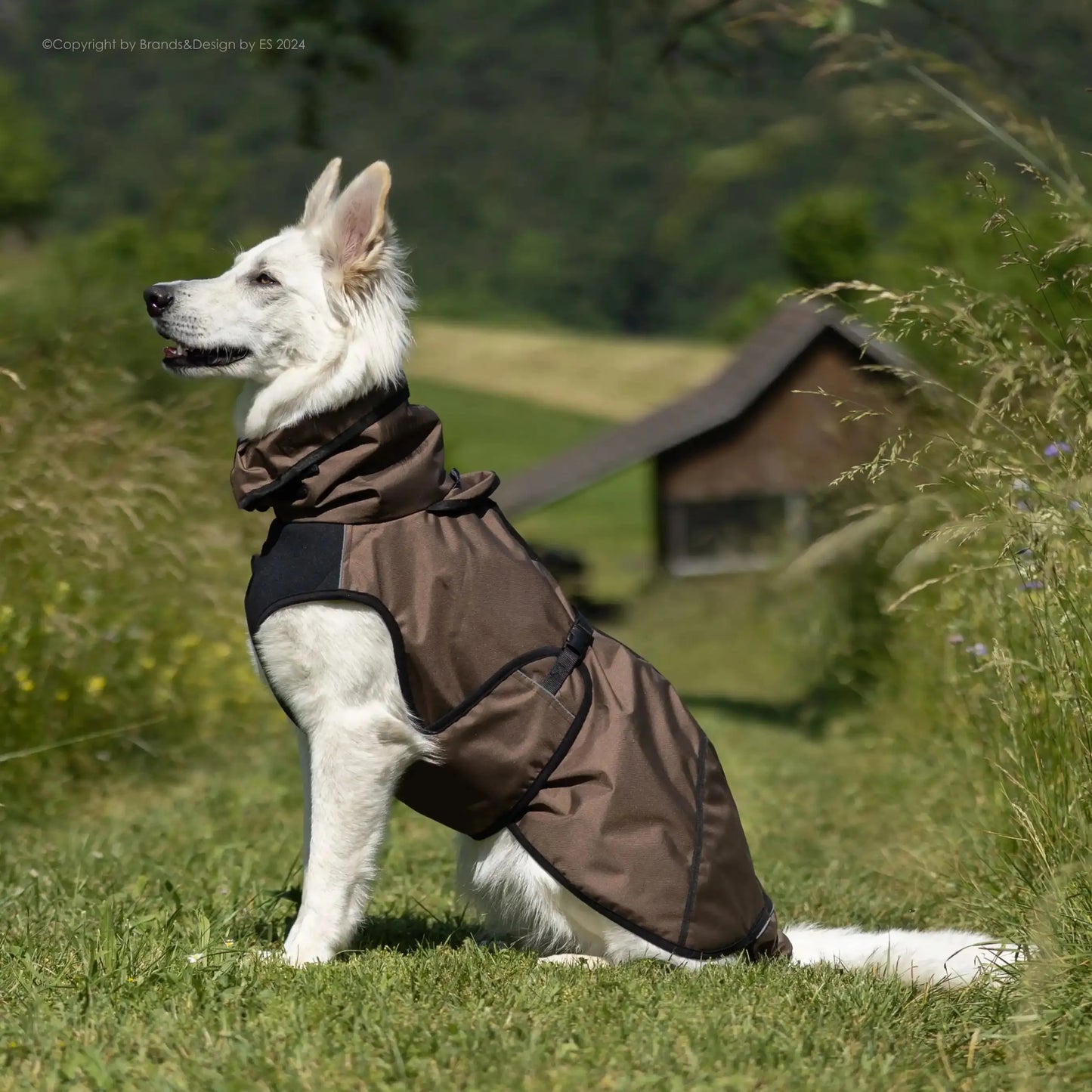 Active Cape Elastic Light STANDARD & WINDHUND