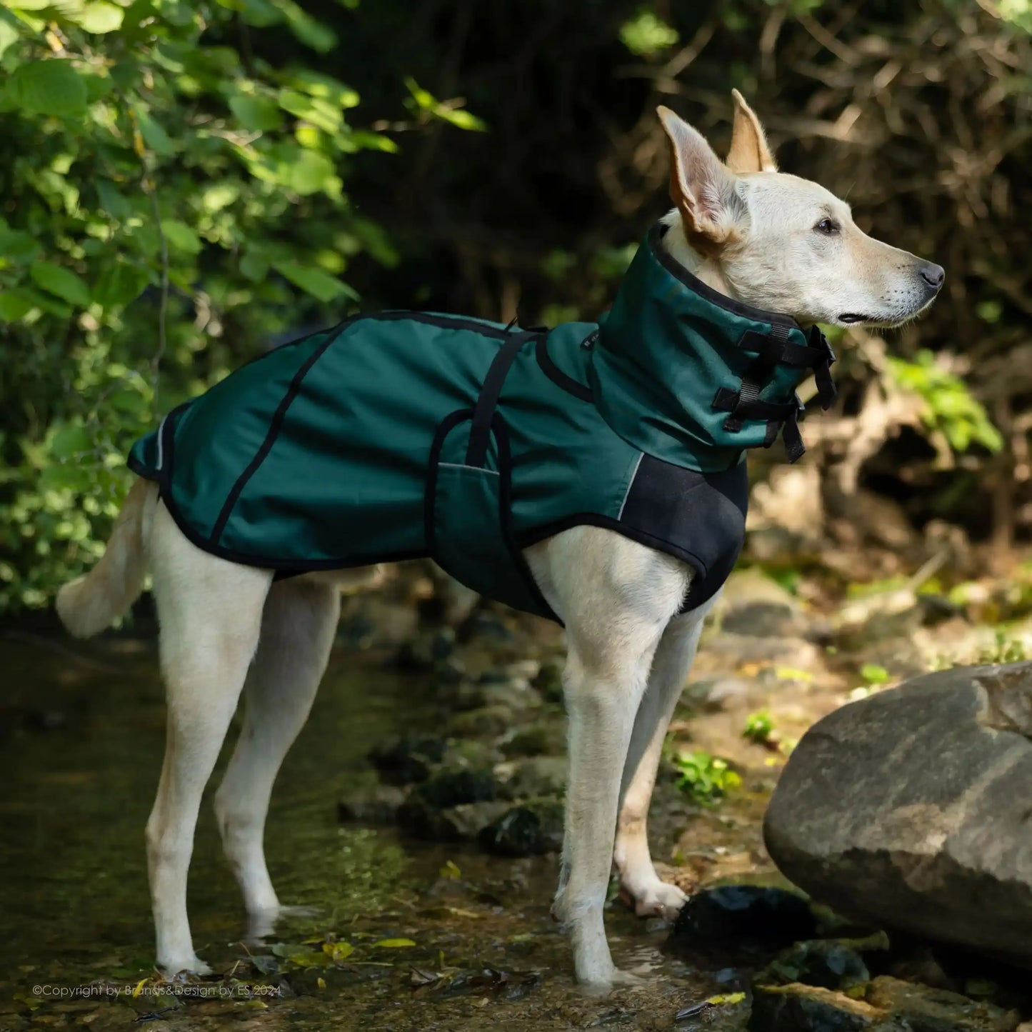 Active Cape Elastic Light STANDARD & WINDHUND