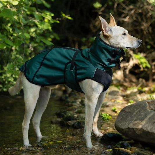 Active Cape Elastic Light STANDARD & WINDHUND
