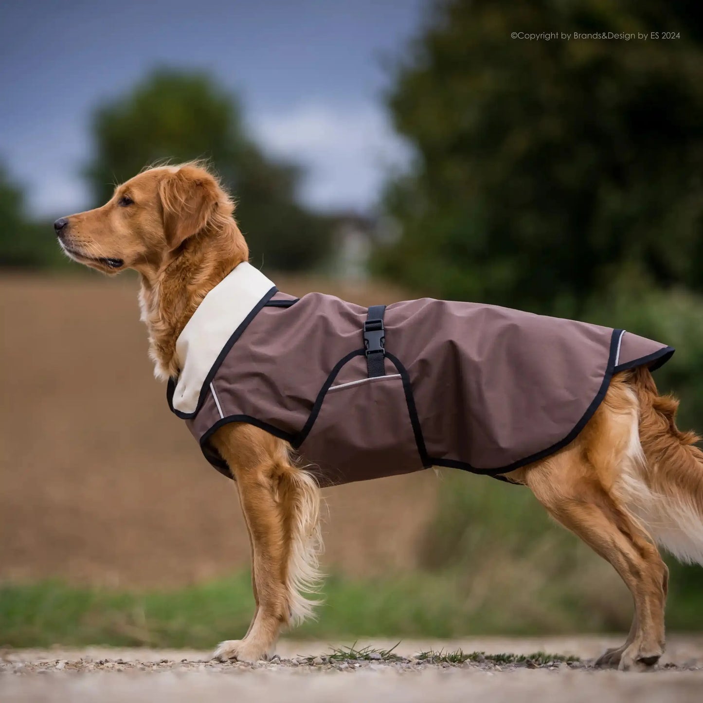 Active Cape Elastic Light STANDARD & WINDHUND