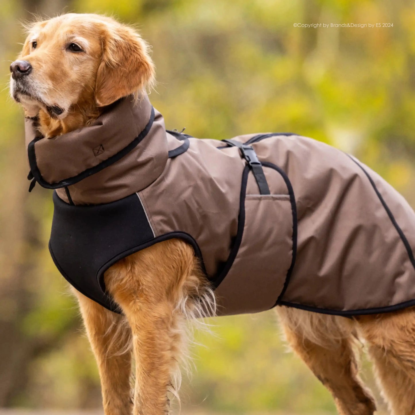 Active Cape Elastic Plus MINI & STANDARD - Wasserabweisend