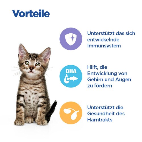 Hill's Vet Essentials MULTI-BENEFIT Kitten Kätzchenfutter Vorteile