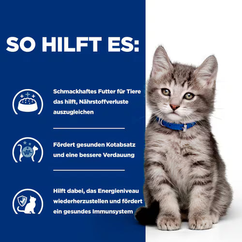 Hill's Prescription Diet i/d Kätzchenfutter Trockenfutter - So hilft es