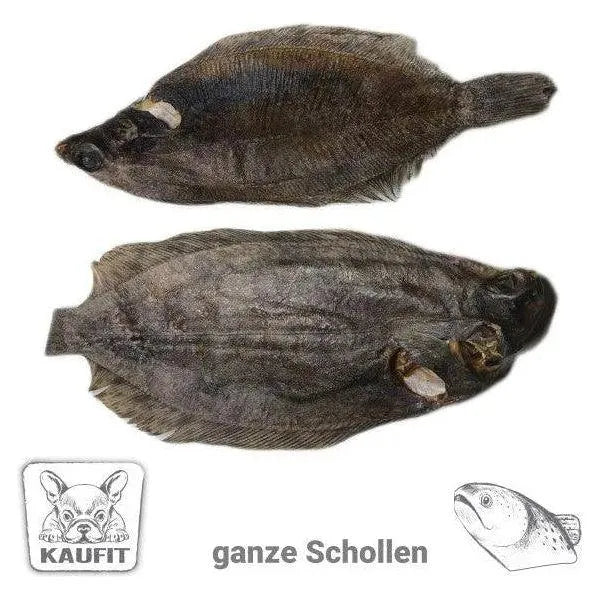 Ganze Schollen