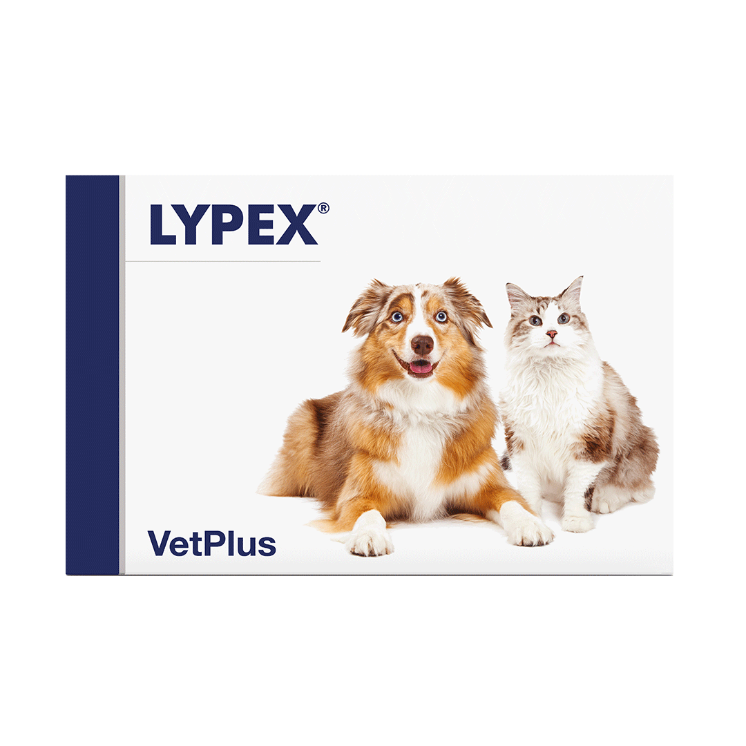 VetPlus Lypex Hund - Katze - Kapseln - - 60 Kapseln Ergänzungsfuttermittel