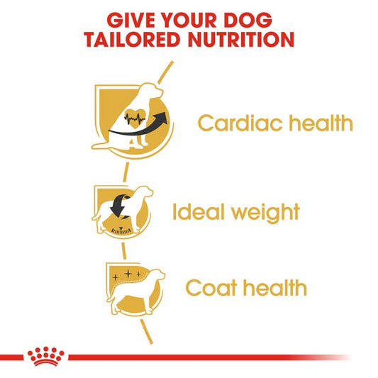 Royal Canin Cavalier King Charles Adult