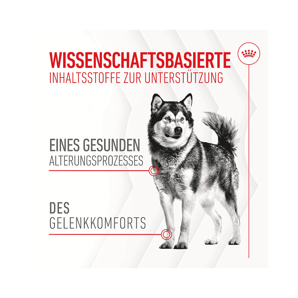 Royal Canin Joint & Ageing Chews Adult - Hund