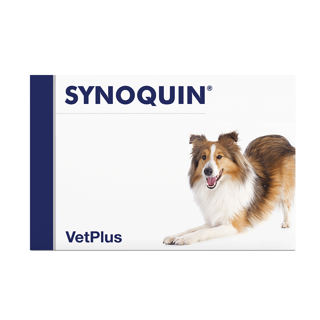 VetPlus Synoquin Hund Ergänzungsfuttermittel - Kautablette - medium- 30 Tabletten