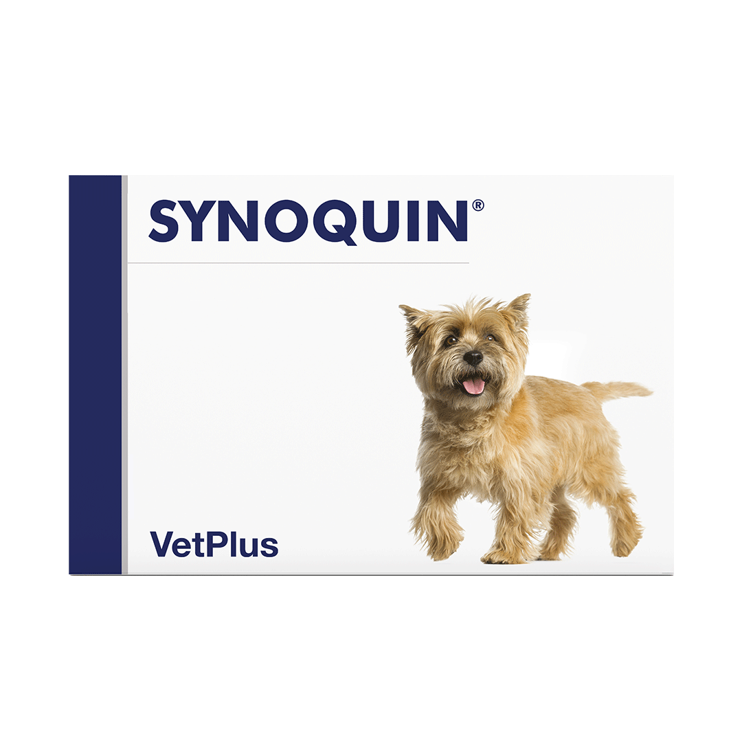 VetPlus Synoquin Hund Ergänzungsfuttermittel - Kautablette - small - 30 Tabletten