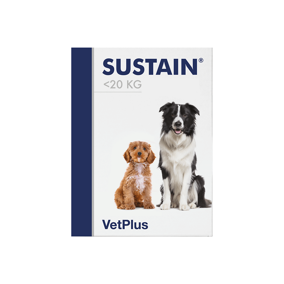 VetPlus Sustain Hund - Pulver