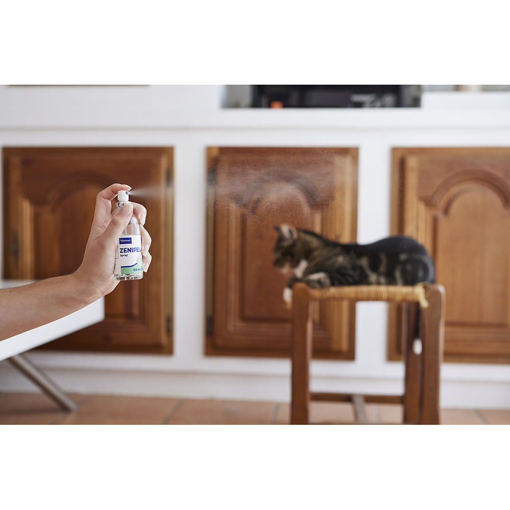 Virbac Zenifel Spray für Katzen 60 ml Anwendung