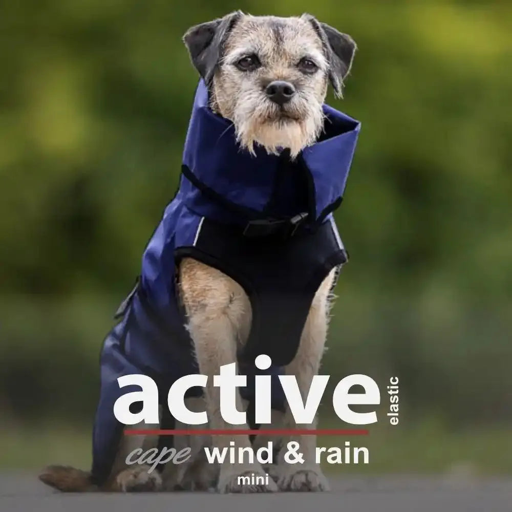 Active Cape Elastic Wind/Rain - MINI & STANDARD - Action Factory - Marigin AG Onlineshop für Tierbedarf Active Cape Elastic Wind/Rain - MINI & STANDARD - Mini / 30cm / Dunkelblau Mantel