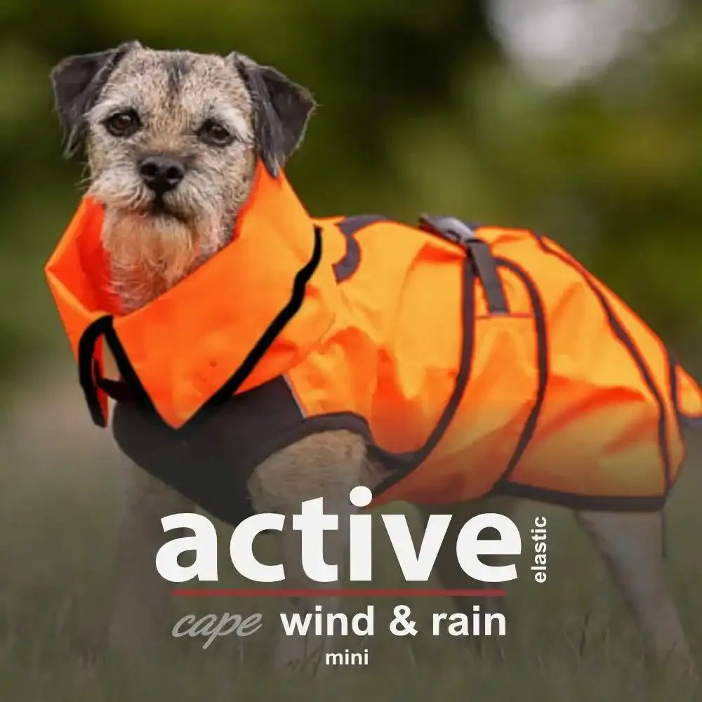 Active Cape Elastic Wind/Rain - MINI & STANDARD - Action Factory - Marigin AG Onlineshop für Tierbedarf Active Cape Elastic Wind/Rain - MINI & STANDARD - Mini / 30cm / Orange Mantel