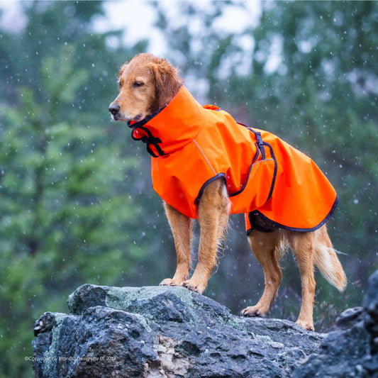 Active Cape Elastic Wind/Rain - MINI & STANDARD - Action Factory - Marigin AG Onlineshop für Tierbedarf Active Cape Elastic Wind/Rain - MINI & STANDARD - Standard (XS-XXL) - AUSLAUFMODELL / XS / 51 cm / Orange Mantel