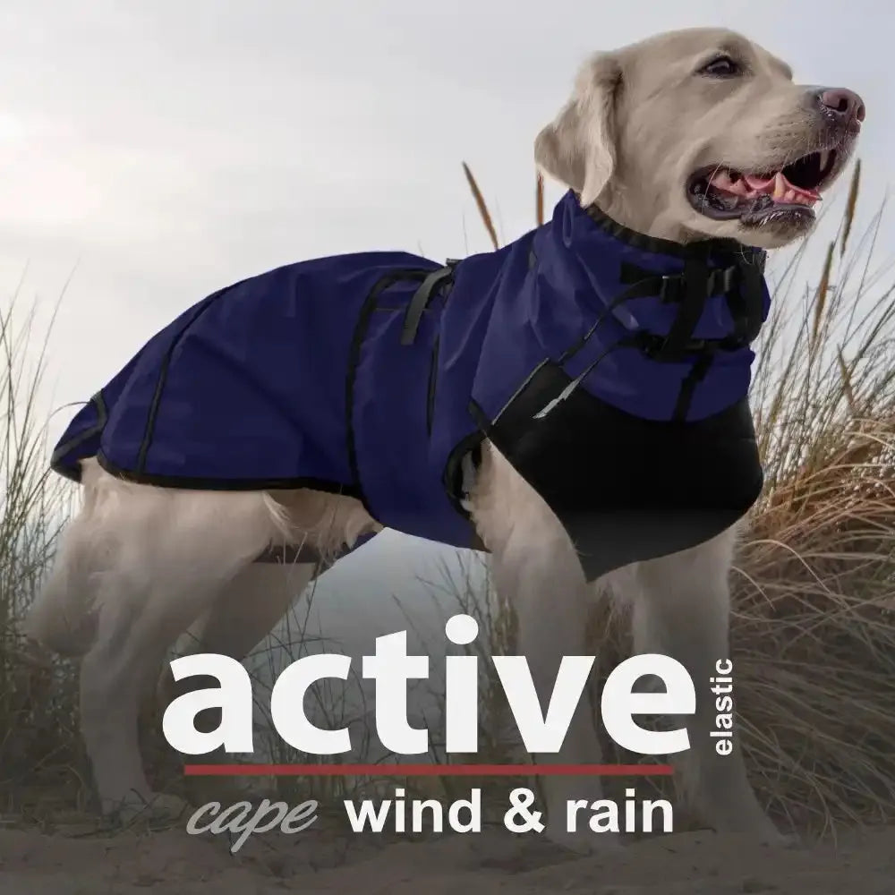 Active Cape Elastic Wind/Rain - MINI & STANDARD - Action Factory - Marigin AG Onlineshop für Tierbedarf Active Cape Elastic Wind/Rain - MINI & STANDARD - Standard (XS-XXL) / XS / 51 cm / Dunkelblau Mantel