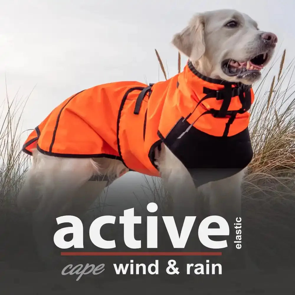 Active Cape Elastic Wind/Rain - MINI & STANDARD - Action Factory - Marigin AG Onlineshop für Tierbedarf Active Cape Elastic Wind/Rain - MINI & STANDARD - Standard (XS-XXL) / XS / 51 cm / Orange Mantel