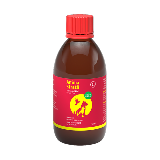 Anima-Strath Katze/Hund - flüssig - Bio-Strath AG - Marigin AG Onlineshop für Tierbedarf Anima-Strath Katze/Hund - flüssig - Flüssigkeit 100ml Ergänzungsfuttermittel