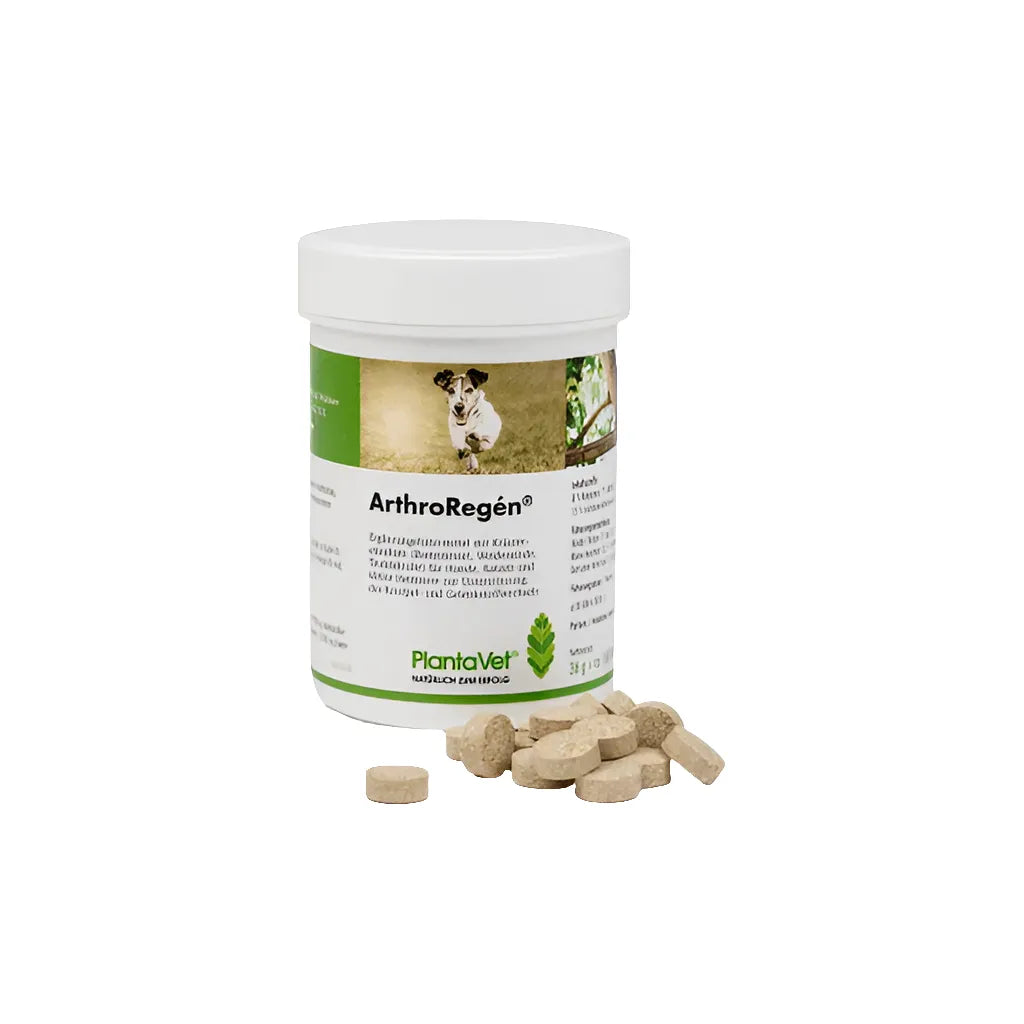 ArthroRegén - PlantaVet - Marigin AG Onlineshop für Tierbedarf ArthroRegén - 160 Stück Ergänzungsfuttermittel
