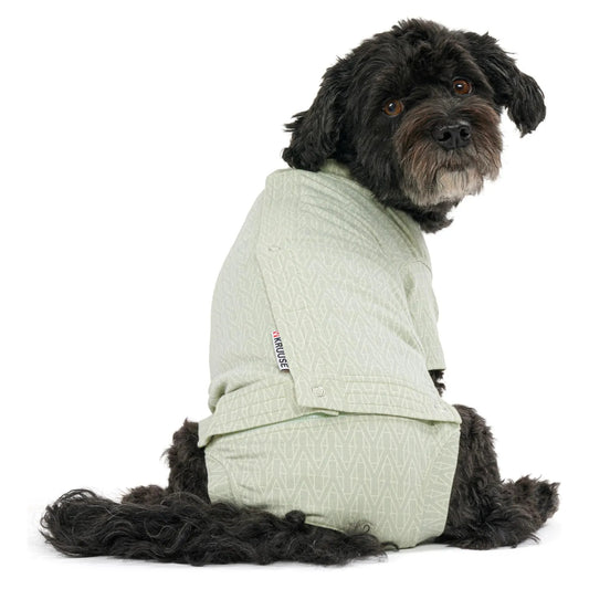 Buster Body Suit Step'n Go - Hund - Kruuse - Marigin AG Onlineshop für Tierbedarf Buster Body Suit Step'n Go - Hund - Dusty Green / XS Zubehör