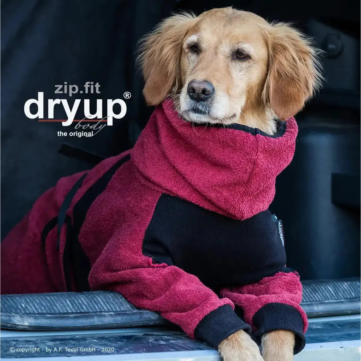 Dryup Body zip.fit MINI & STANDARD - Action Factory - Marigin AG Onlineshop für Tierbedarf Dryup Body zip.fit MINI & STANDARD - Standard (XS-XL) / XS / 48 cm / Bordeaux Mantel