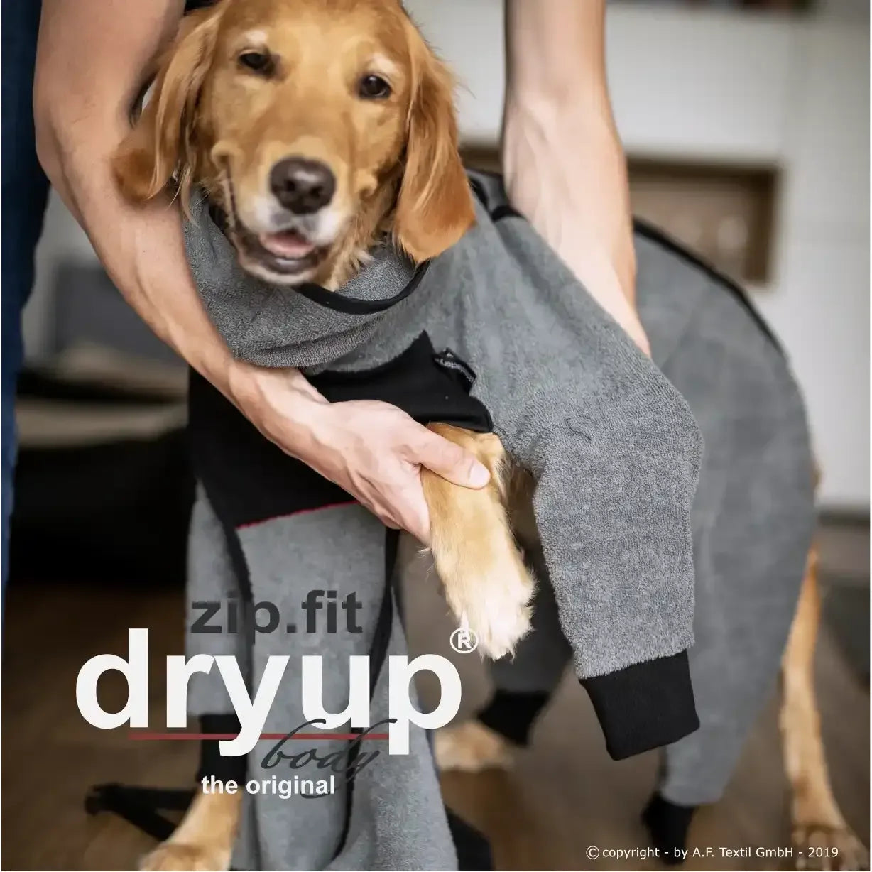 Dryup Body zip.fit MINI & STANDARD - Action Factory - Marigin AG Onlineshop für Tierbedarf Dryup Body zip.fit MINI & STANDARD - Standard (XS-XL) / XS / 48 cm / Grau Mantel