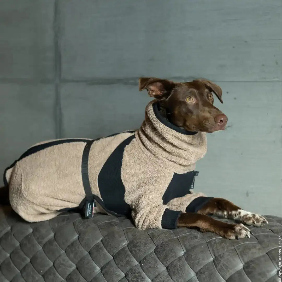 Dryup Body zip.fit MINI & STANDARD - Action Factory - Marigin AG Onlineshop für Tierbedarf Dryup Body zip.fit MINI & STANDARD - Standard (XS-XL) / XS / 48 cm / Kaffee Mantel
