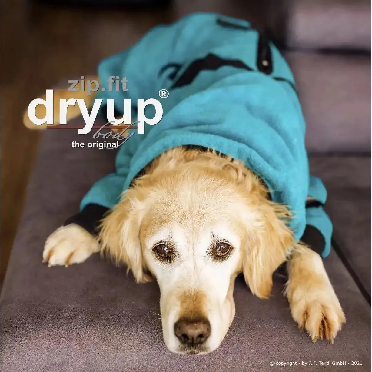 Dryup Body zip.fit MINI & STANDARD - Action Factory - Marigin AG Onlineshop für Tierbedarf Dryup Body zip.fit MINI & STANDARD - Standard (XS-XL) / XS / 48 cm / Petrol Mantel