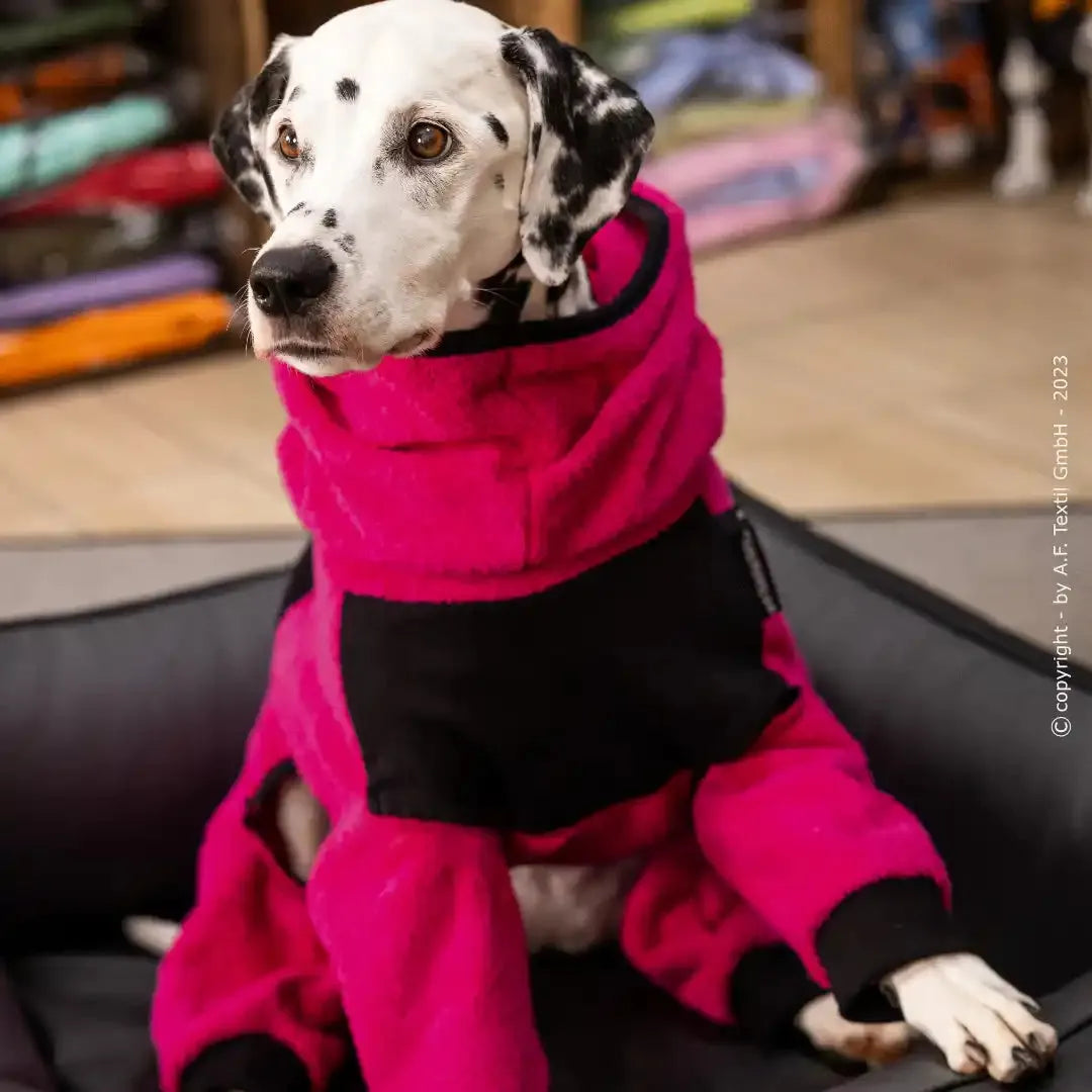 Dryup Body zip.fit MINI & STANDARD - Action Factory - Marigin AG Onlineshop für Tierbedarf Dryup Body zip.fit MINI & STANDARD - Standard (XS-XL) / XS / 48 cm / Pink Mantel
