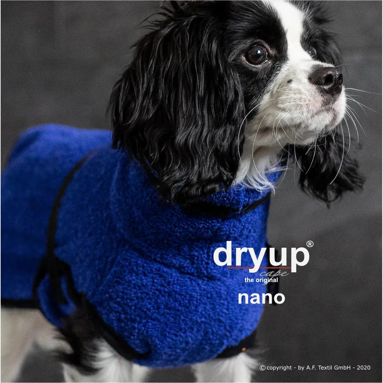 Dryup Cape NANO - Hundebademantel - Action Factory - Marigin AG Onlineshop für Tierbedarf Dryup Cape NANO - Hundebademantel - 15 cm / Blueberry Mantel