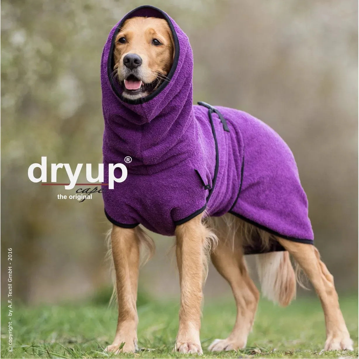 Dryup Cape ORIGINAL Standard - Hundebademantel - Action Factory - Marigin AG Onlineshop für Tierbedarf Dryup Cape ORIGINAL Standard - Hundebademantel - XS / 48cm / Bilberry Mantel