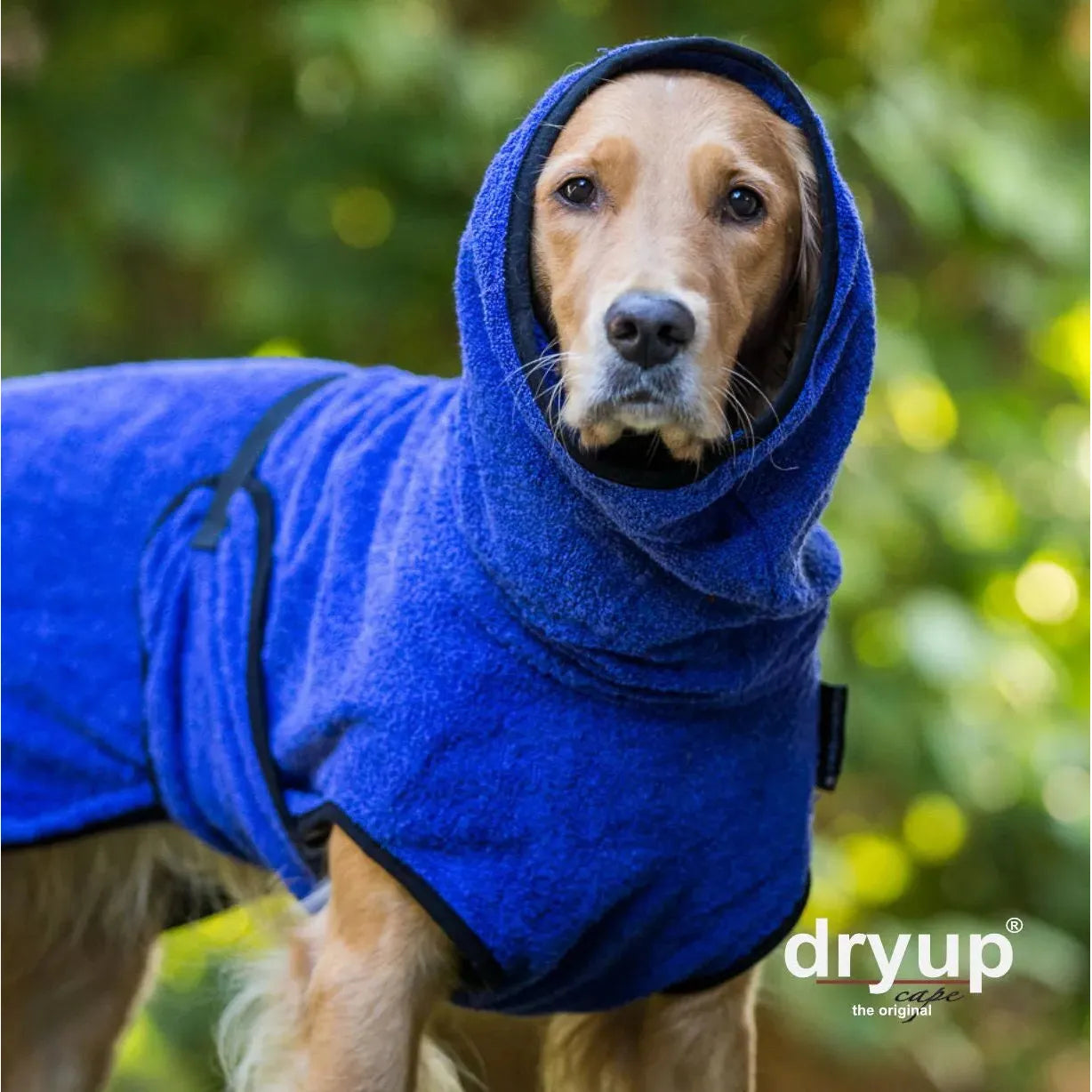 Dryup Cape ORIGINAL Standard - Hundebademantel - Action Factory - Marigin AG Onlineshop für Tierbedarf Dryup Cape ORIGINAL Standard - Hundebademantel - XS / 48cm / Blueberry Mantel