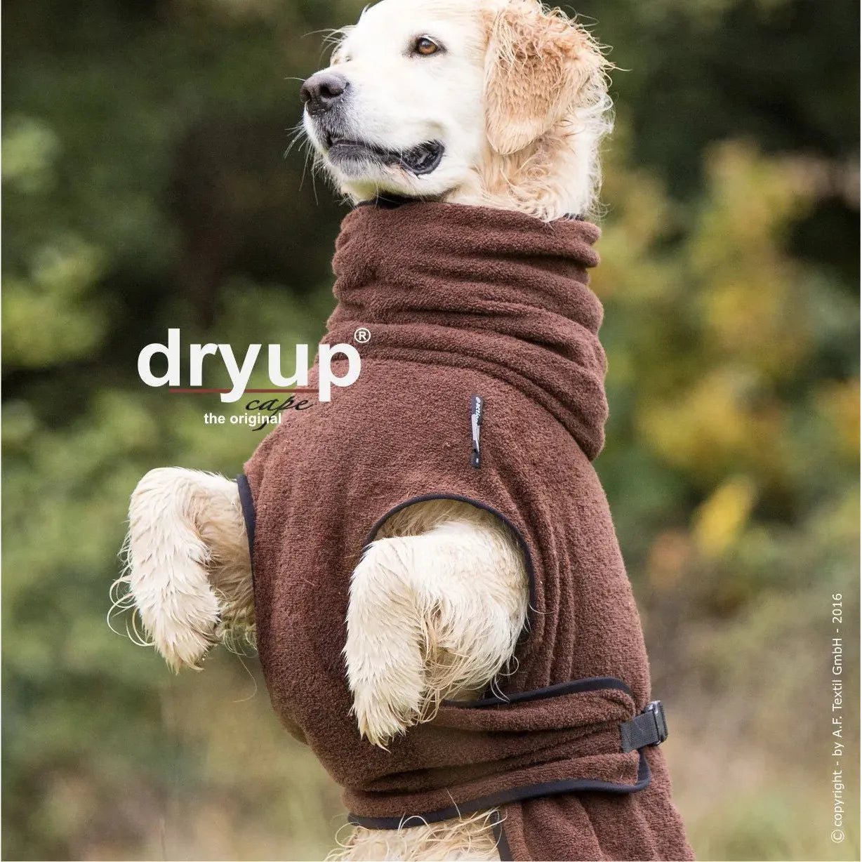 Dryup Cape ORIGINAL Standard - Hundebademantel - Action Factory - Marigin AG Onlineshop für Tierbedarf Dryup Cape ORIGINAL Standard - Hundebademantel - XS / 48cm / Braun Mantel