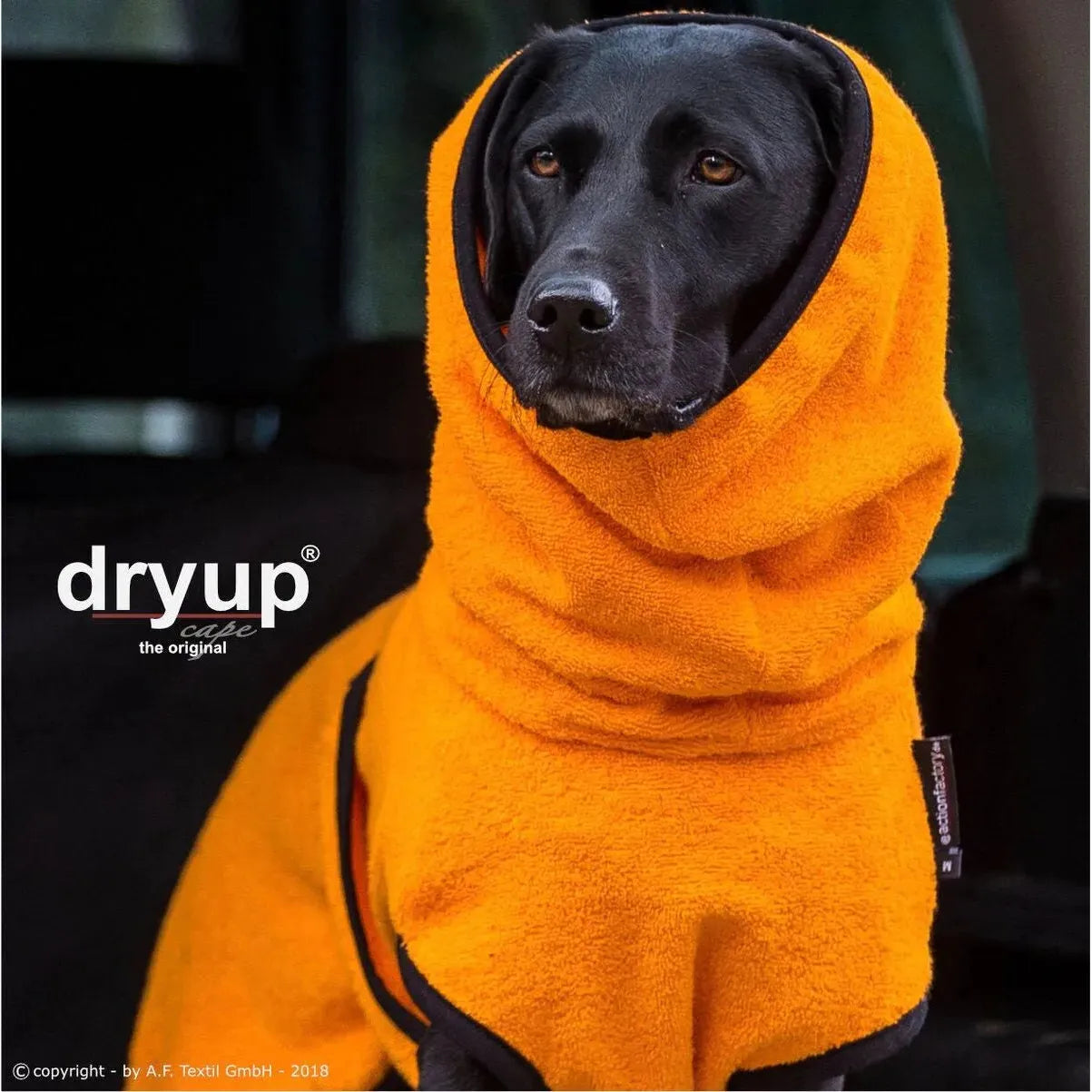 Dryup Cape ORIGINAL Standard - Hundebademantel - Action Factory - Marigin AG Onlineshop für Tierbedarf Dryup Cape ORIGINAL Standard - Hundebademantel - XS / 48cm / Clementine Mantel