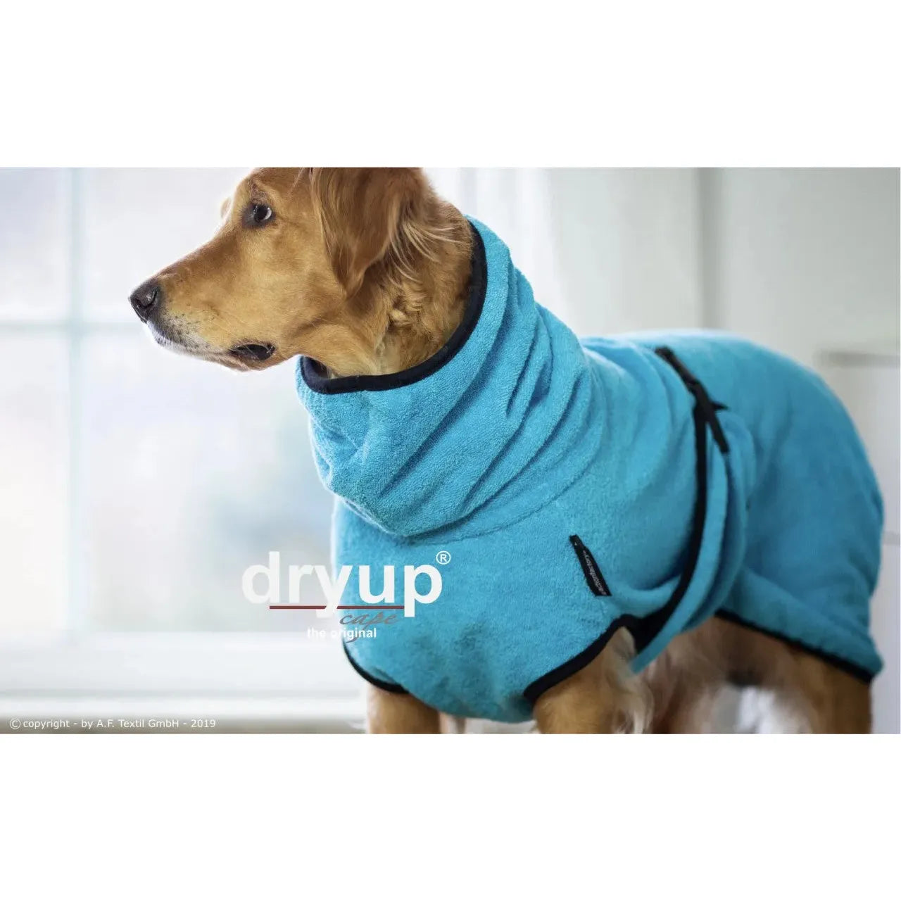 Dryup Cape ORIGINAL Standard - Hundebademantel - Action Factory - Marigin AG Onlineshop für Tierbedarf Dryup Cape ORIGINAL Standard - Hundebademantel - XS / 48cm / Cyan Mantel