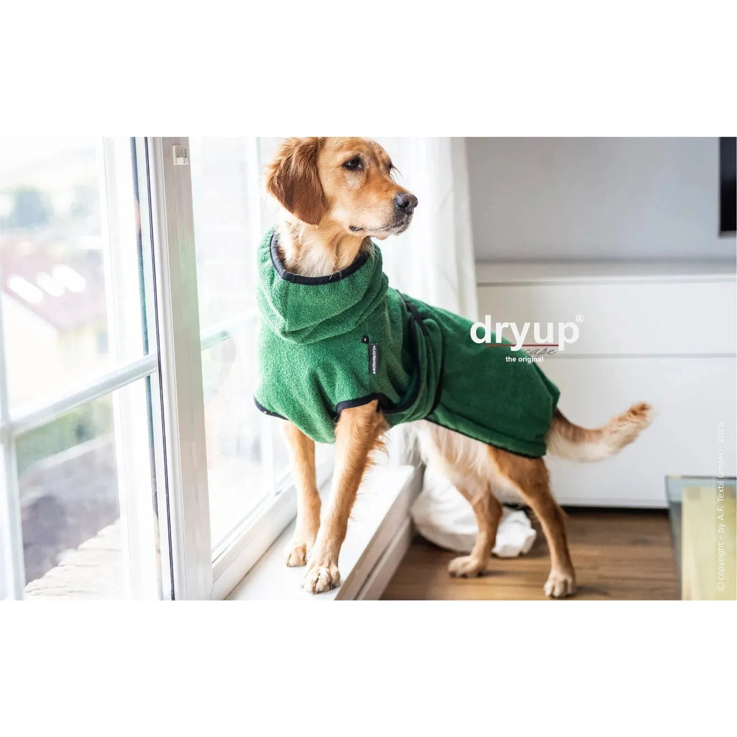 Dryup Cape ORIGINAL Standard - Hundebademantel - Action Factory - Marigin AG Onlineshop für Tierbedarf Dryup Cape ORIGINAL Standard - Hundebademantel - XS / 48cm / Dark green Mantel