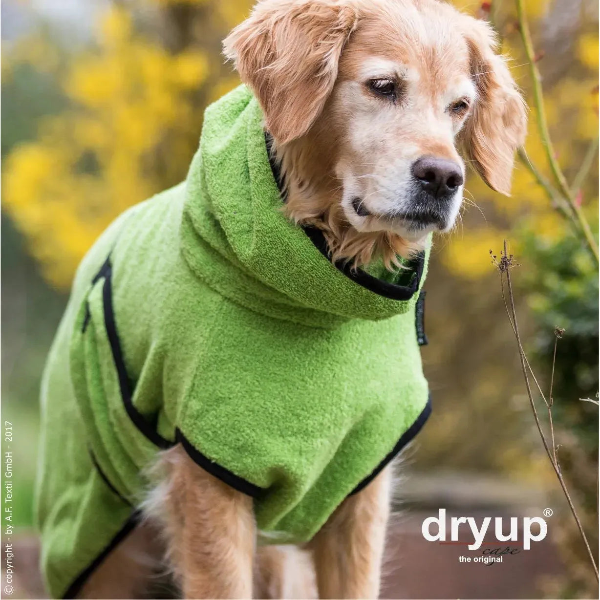 Dryup Cape ORIGINAL Standard - Hundebademantel - Action Factory - Marigin AG Onlineshop für Tierbedarf Dryup Cape ORIGINAL Standard - Hundebademantel - XS / 48cm / Kiwi Mantel