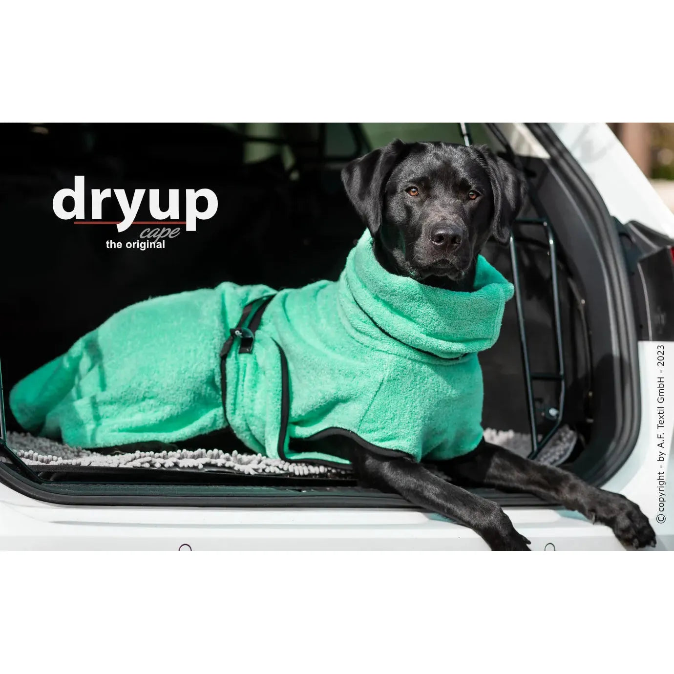 Dryup Cape ORIGINAL Standard - Hundebademantel - Action Factory - Marigin AG Onlineshop für Tierbedarf Dryup Cape ORIGINAL Standard - Hundebademantel - XS / 48cm / Mint Mantel