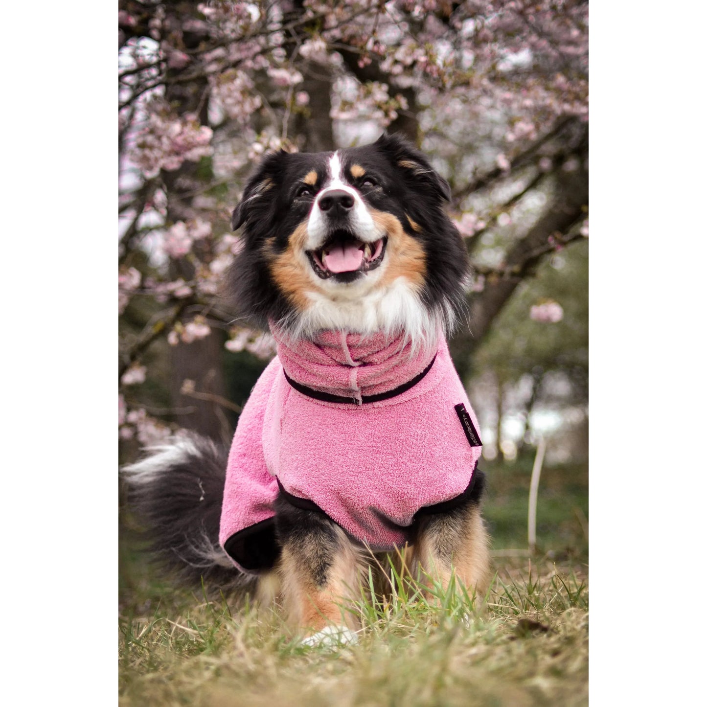 Dryup Cape ORIGINAL Standard - Hundebademantel - Action Factory - Marigin AG Onlineshop für Tierbedarf Dryup Cape ORIGINAL Standard - Hundebademantel - XS / 48cm / Rose Mantel