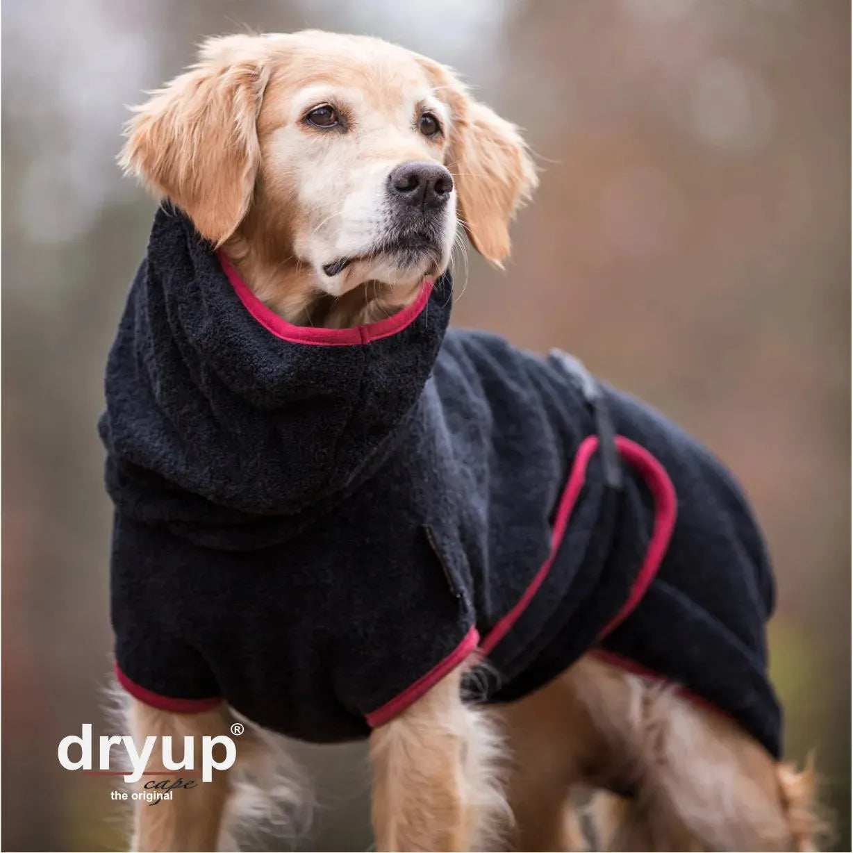 Dryup Cape ORIGINAL Standard - Hundebademantel - Action Factory - Marigin AG Onlineshop für Tierbedarf Dryup Cape ORIGINAL Standard - Hundebademantel - XS / 48cm / Schwarz Mantel