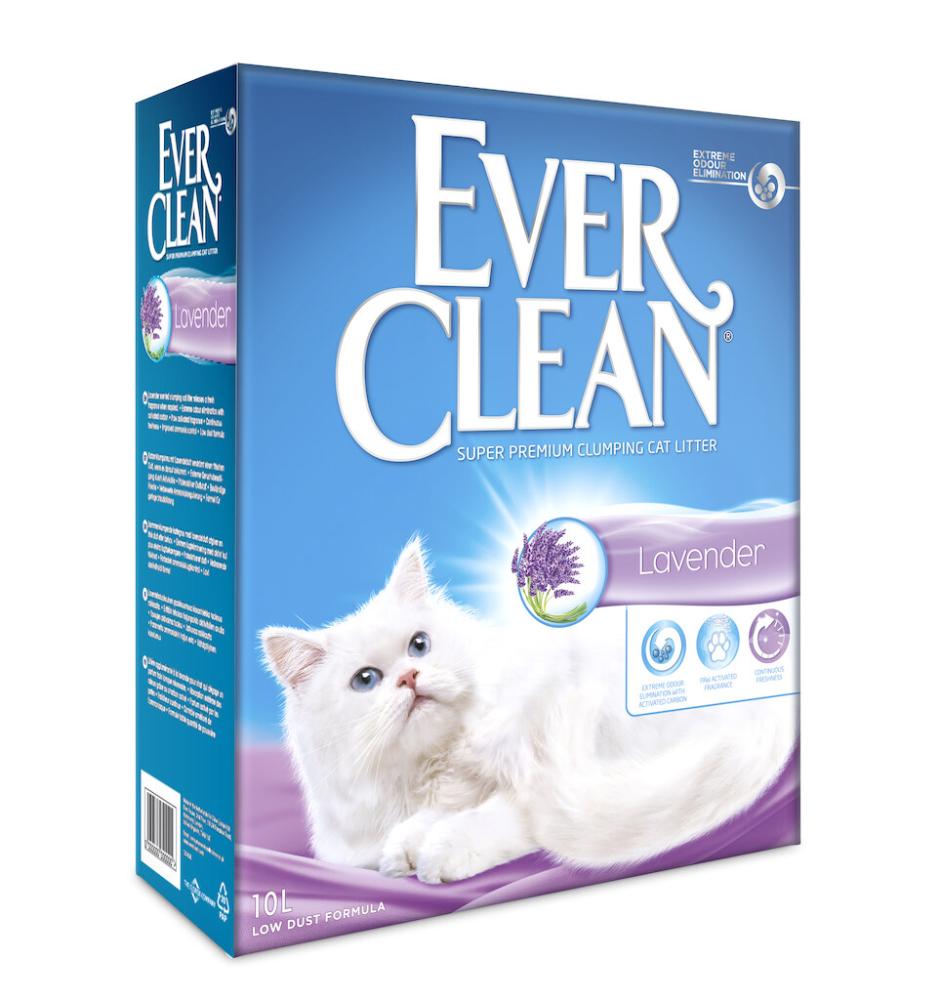 Ever Clean Lavender - Katze