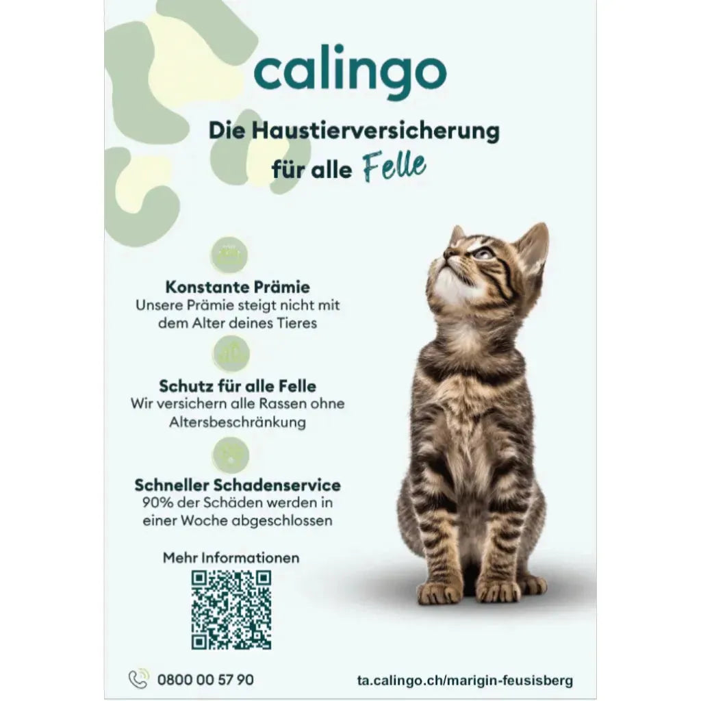 Heimtierversicherung von Calingo - Marigin AG Onlineshop für Tierbedarf - Marigin AG Onlineshop für Tierbedarf Heimtierversicherung von Calingo - Default Title