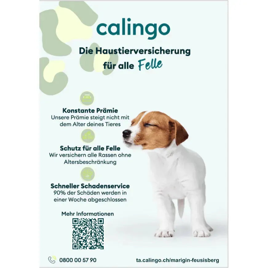 Heimtierversicherung von Calingo - Marigin AG Onlineshop für Tierbedarf - Marigin AG Onlineshop für Tierbedarf Heimtierversicherung von Calingo - Default Title