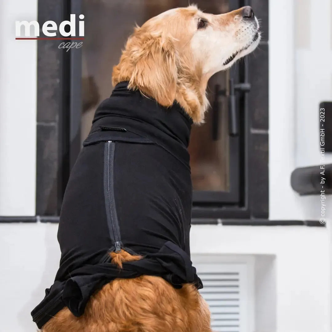 Medi Cape MINI & STANDARD - Action Factory - Marigin AG Onlineshop für Tierbedarf Medi Cape MINI & STANDARD - Mini / 30 cm / Schwarz Mantel