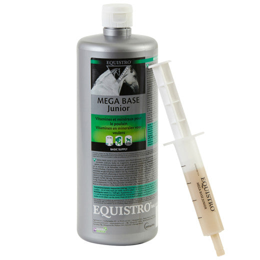 Mega Base Junior - Pferd